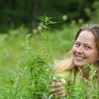 Colorado, Washington Go Pro-Marijuana, Set Up Pot Fight with Feds marijuana image