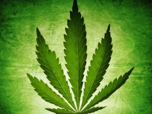 The Economics of Marijuana Legalization Marijuana is big business
