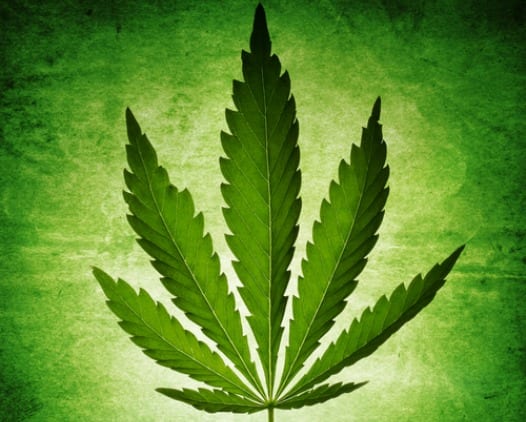 The Economics of Marijuana Legalization
