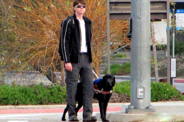 Blind veteran Travis Fugate and his guide dog